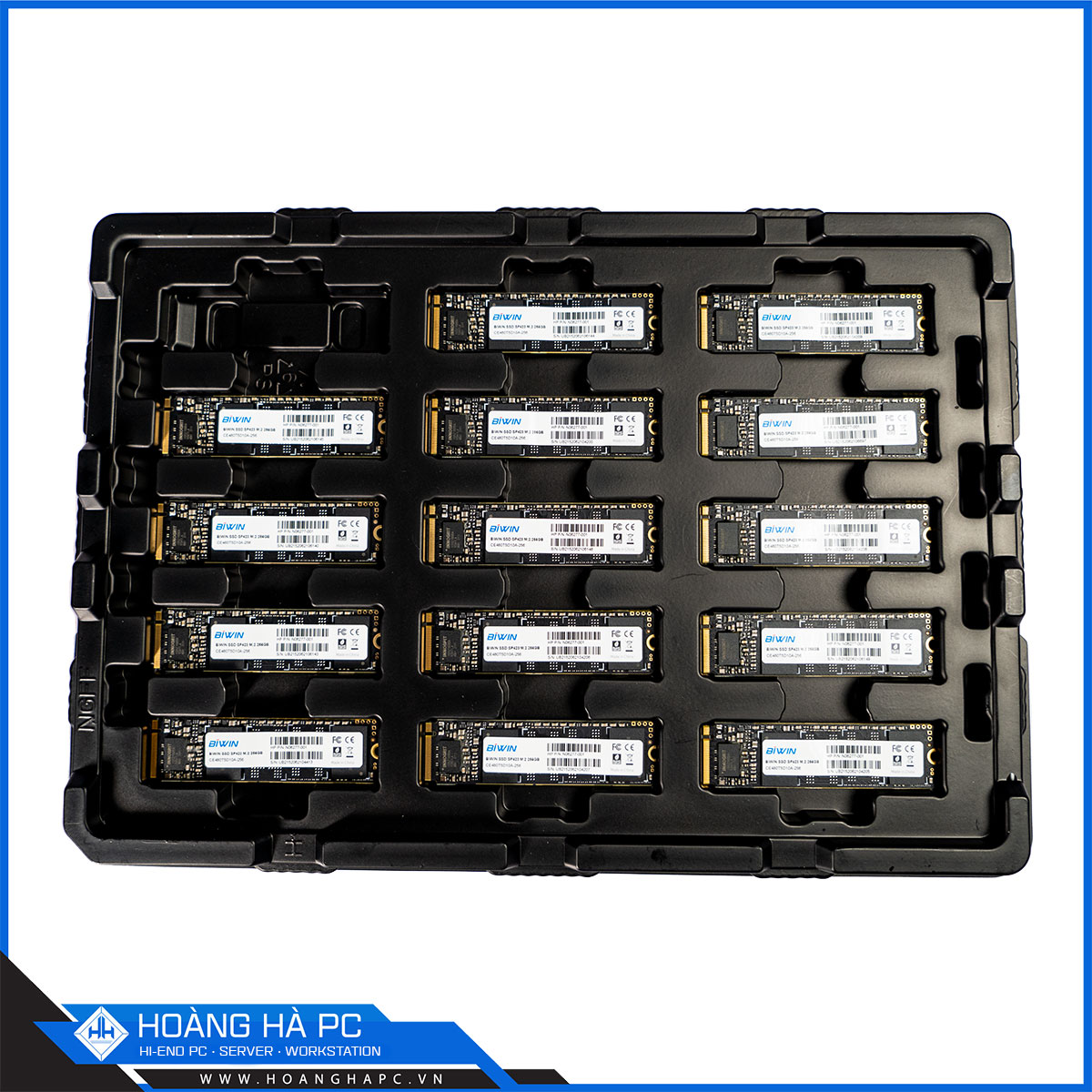 Ổ cứng SSD HP BIWIN SP423 256GB M.2 2280 PCIe 3.0x4 (Đọc: 3315MB/s - Ghi: 1772MB/s)-4